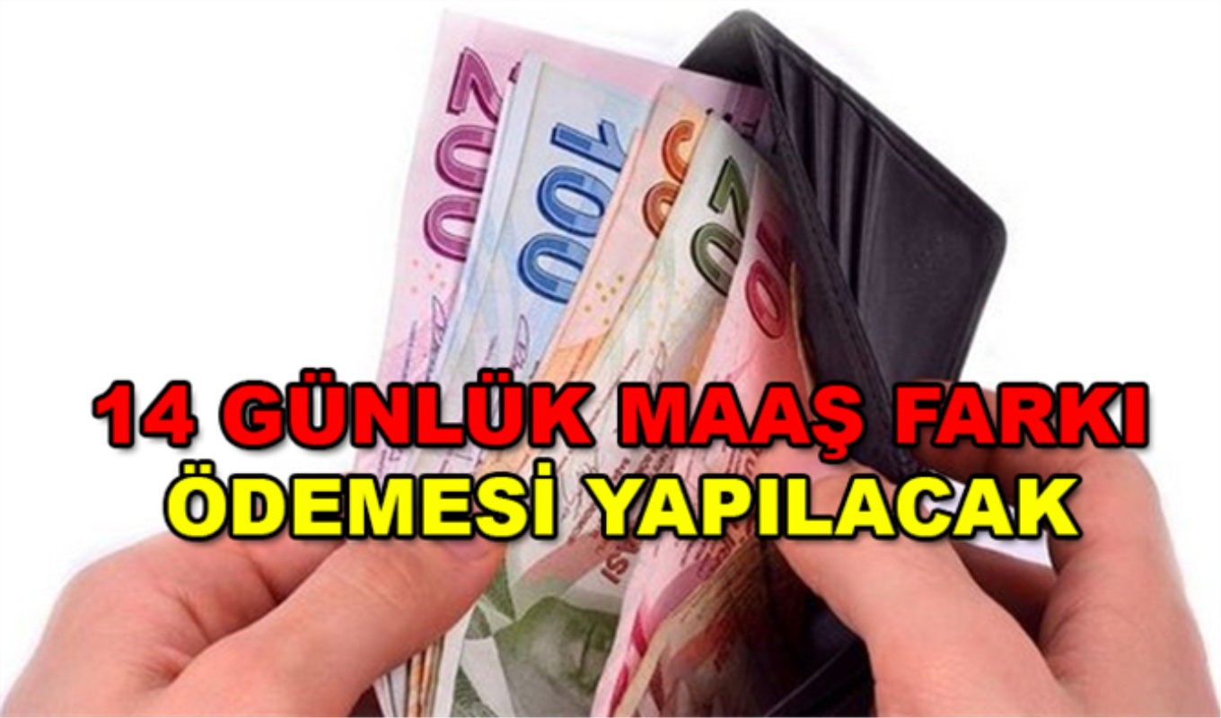 Memur Ve Emeklilere 2020 De 14 Gunluk Maas Farki Odemesi Yapilacak 15 Ocak Ta Memur Maaslari