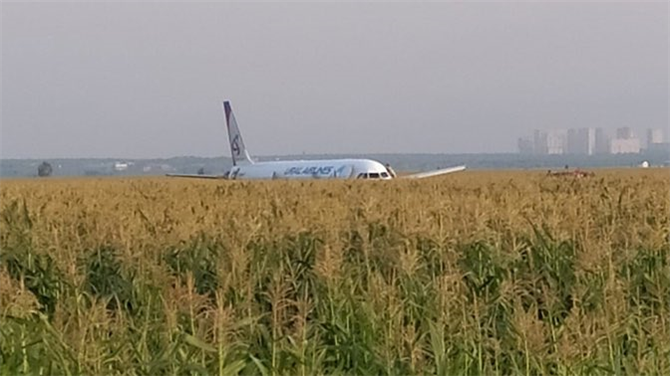 15 Ağustos Rusya'da Uçak Kazası Yaşandı! Yolcu Uçağı tarlaya Acil İniş yaptı Ölü yaralı var mı?