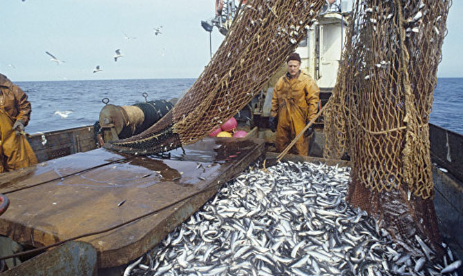 Balıkçılara Devlet Desteği