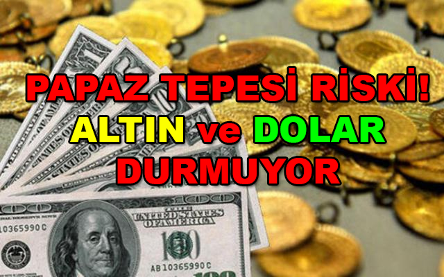 Dolar ve Altın durmuyor! Papaz Tepesi Riski! Zor Noktaları da Kırdılar Tarihi rekora koşacaklar