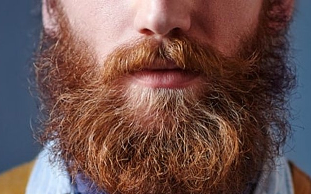 Sakallar neden güçsüz çıkar? Gür ve uzun sakal ve bıyığın sırrı