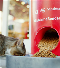Tweet Atınca Sokak Hayvanlarına Mama Veren Makineler, İstanbul Geneline Yayıldı