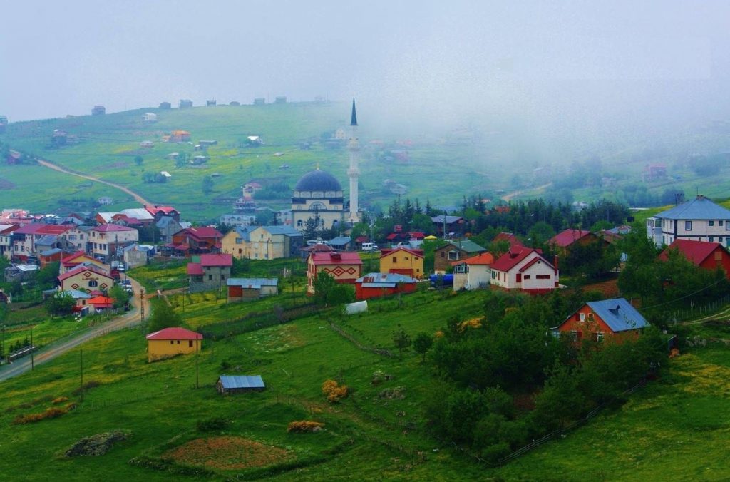 KUZEY YILDIZI YAYLA ile ilgili görsel sonucu